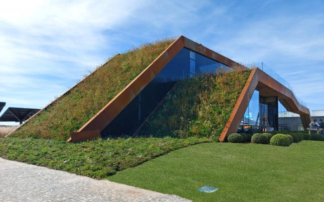 Pitched green roof